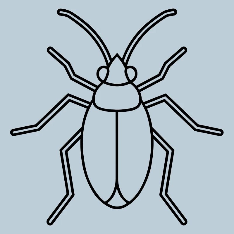 Aphid