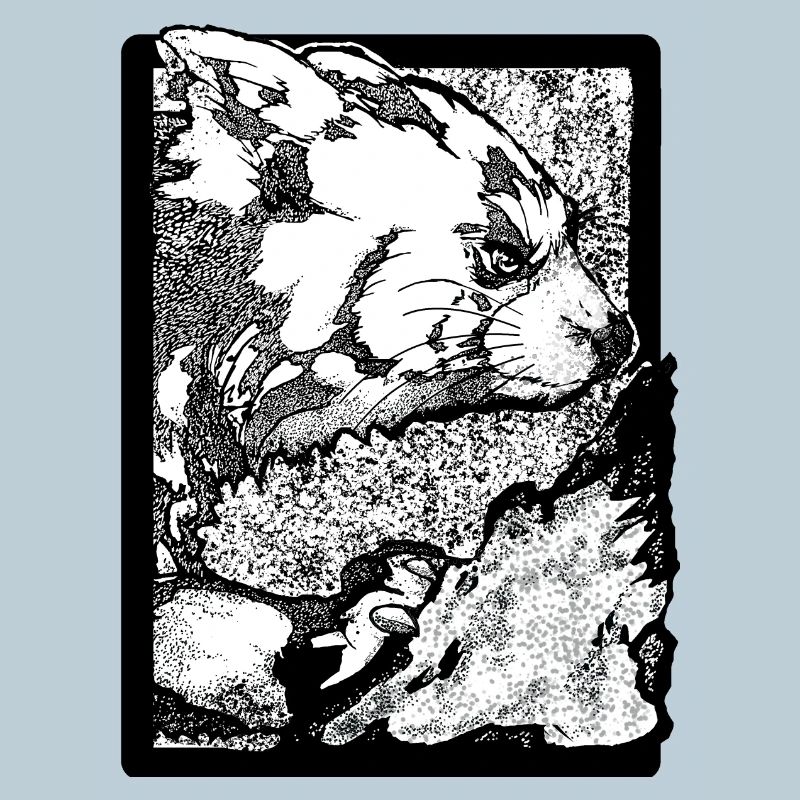 Le panda roux grimpe sur le rocher (noir et blanc)