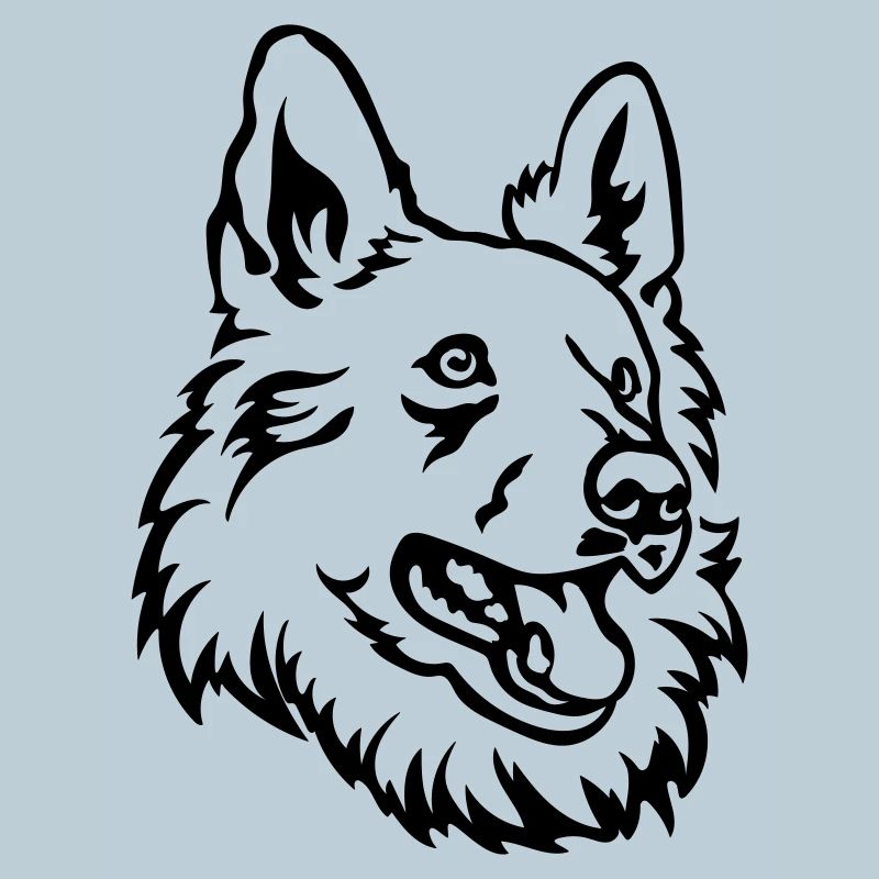 Swiss Shepherd Head