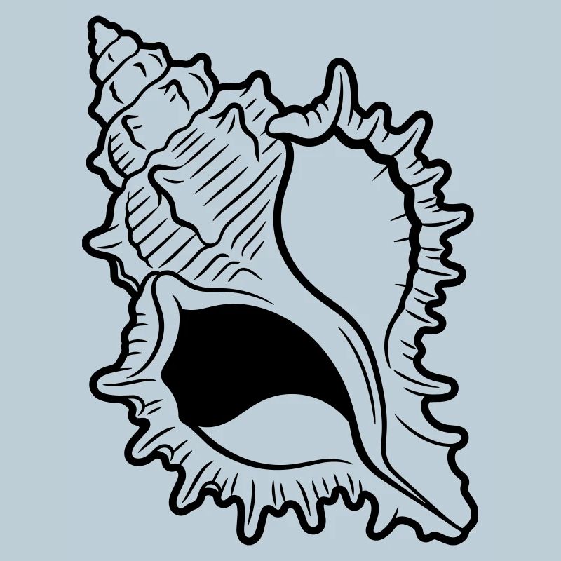 coquille