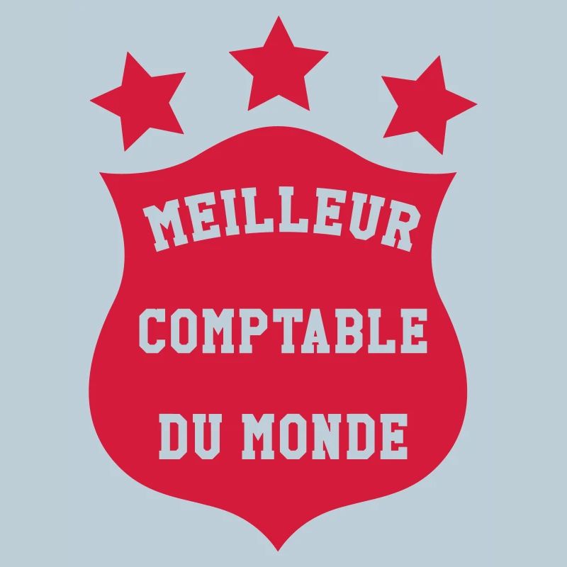 comptable / comptabilité / argent / Finance / Euro