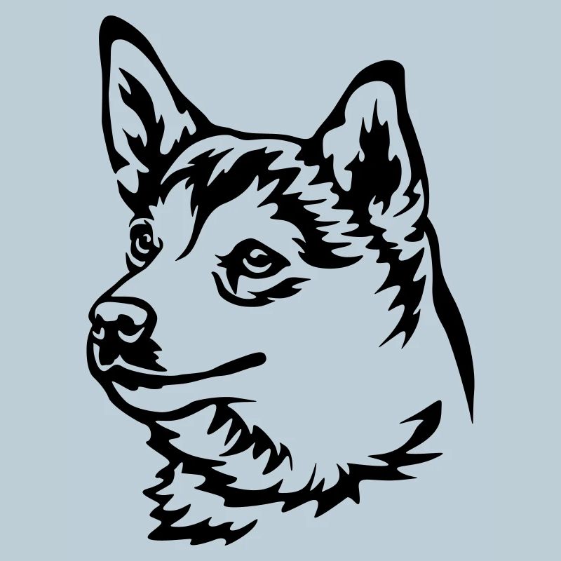 Tête norvégienne de Lundehund