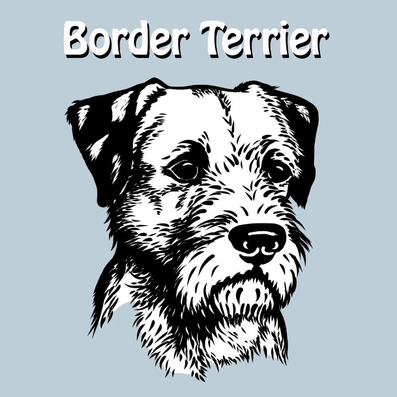 Border Terrier Portrait