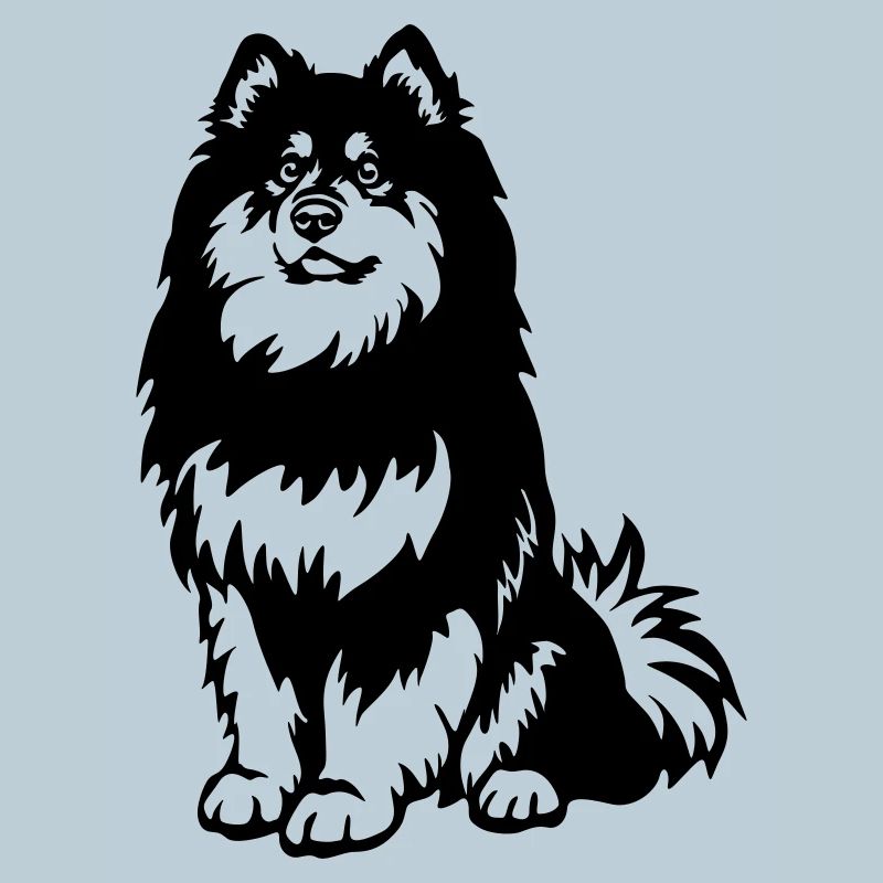 Finnischer Lapphund