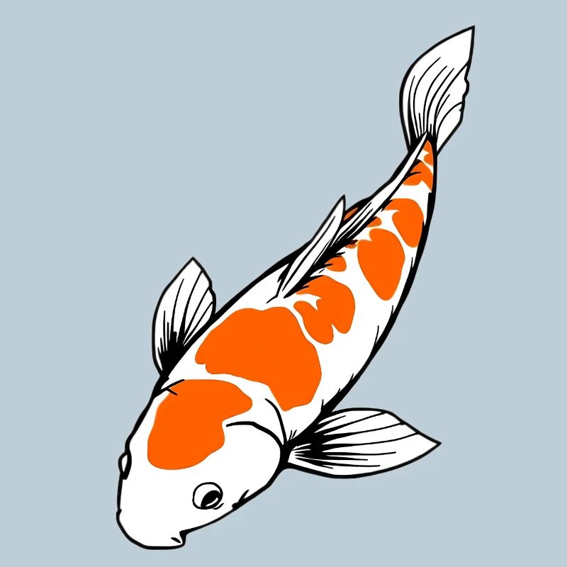 Koi Fish