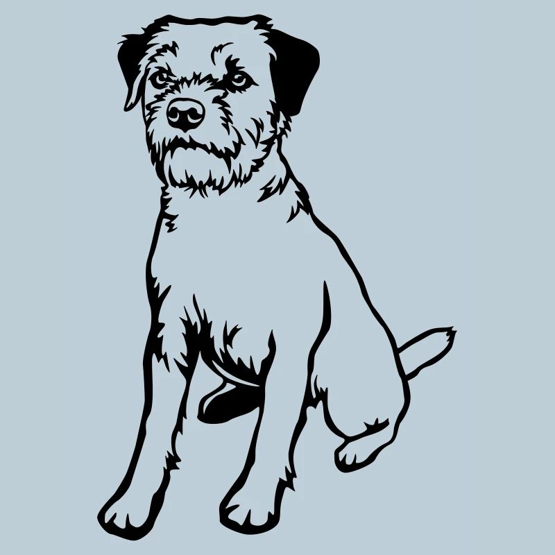 Border Terrier