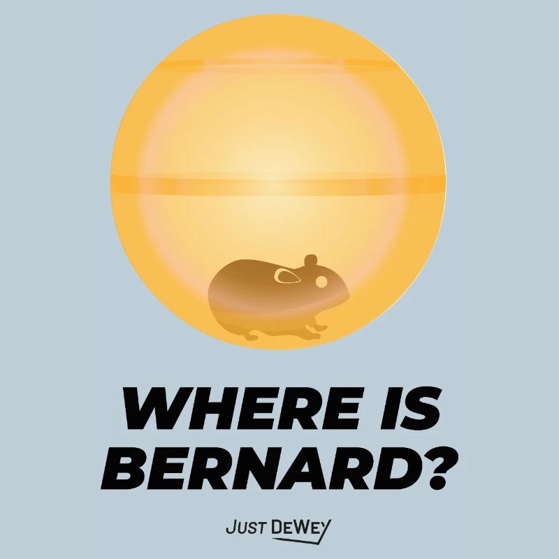 Where is Bernard? Just Dewey - Malcolm Hamster