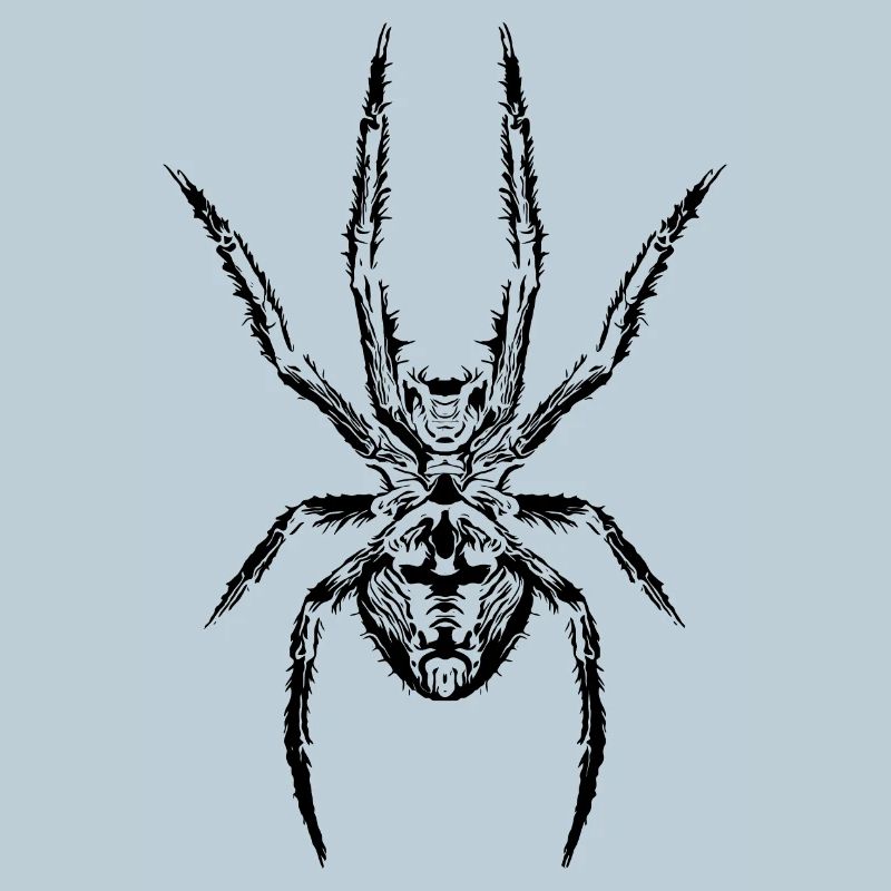 Le pouvoir de l’araignée : le symbole de la force et du mystère