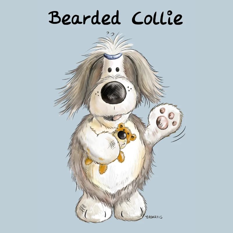 Bearded Collie mit Teddy