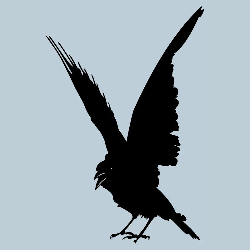 Black bird crow or raven shadow figure