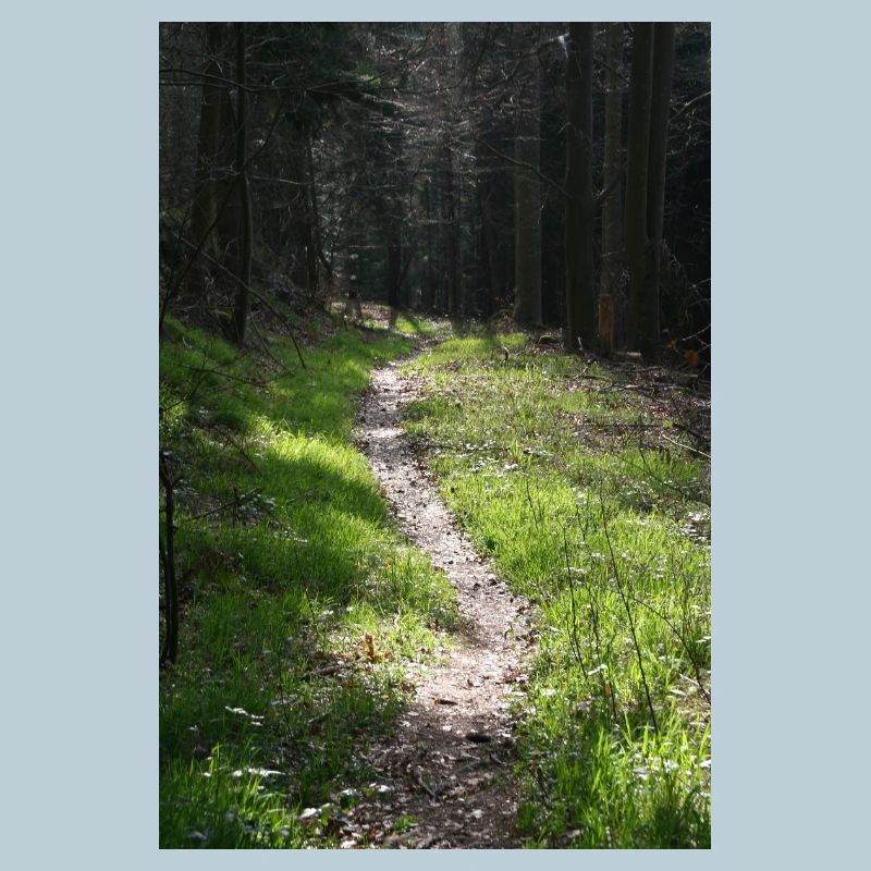 GREEN WAY