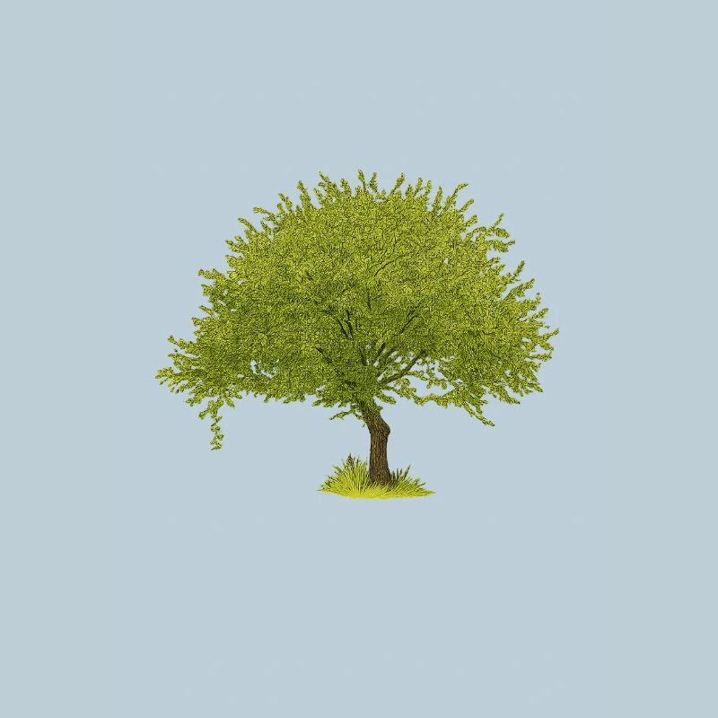 Green Summer Tree