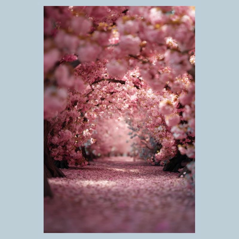 Cherry Blossom Arch Path