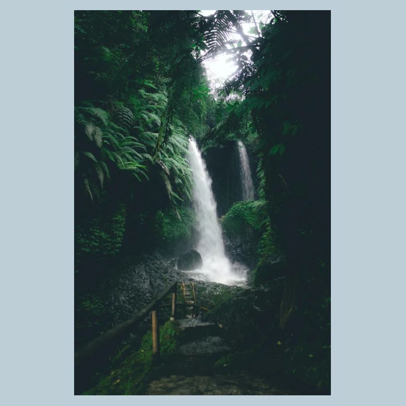 Cascade dans la Jungle Verte