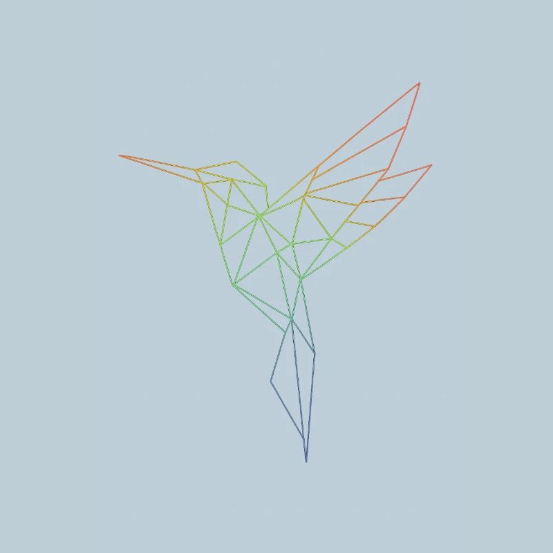 Geometric Rainbow Bird
