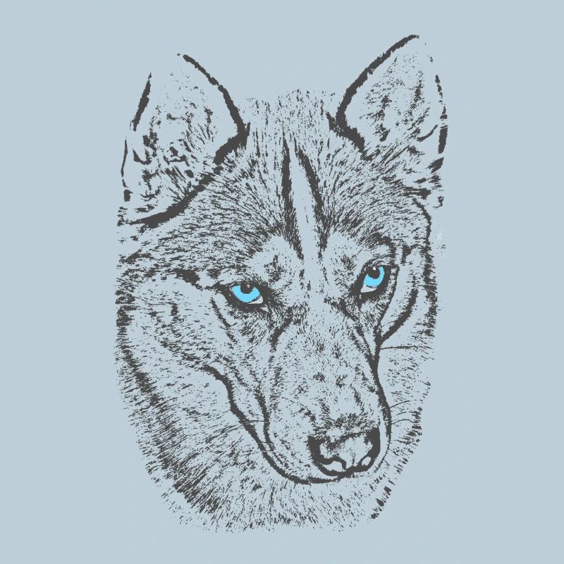 Northern wolf with blue eyes