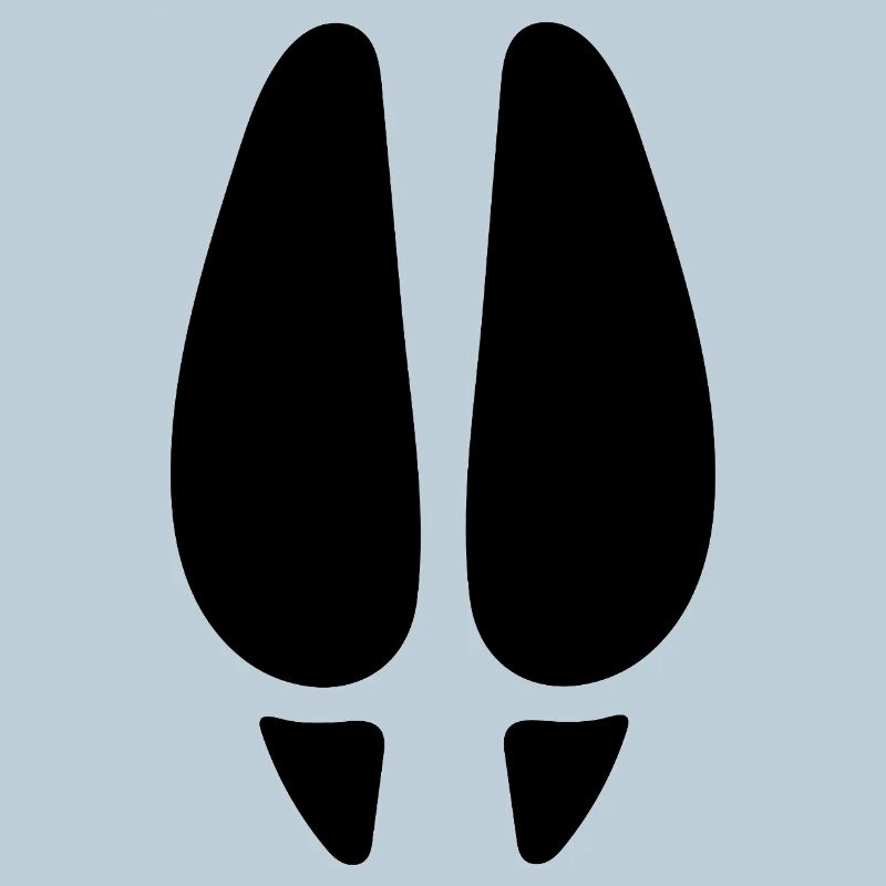 Empreinte de cerf