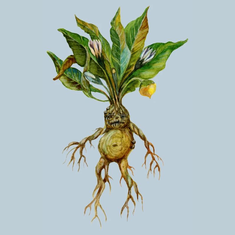 Grim Root Creature Fantasy Design