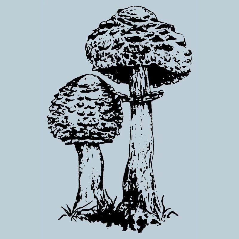 ACCUMULATOR MUSHROOM