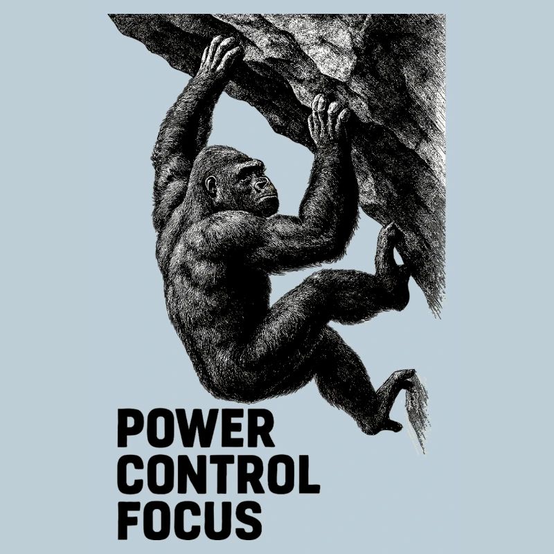 Gorilla Bouldern: Power Control Focus Design