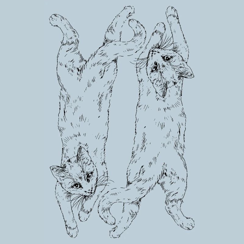 Katzen