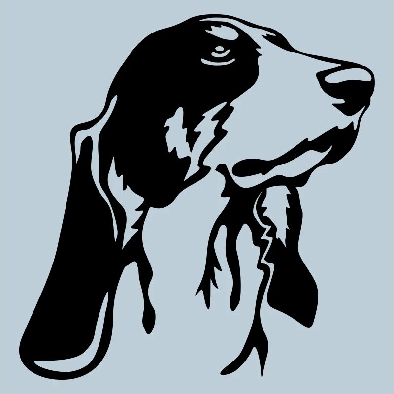 Berner Laufhund Kopf