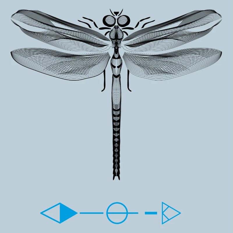 Ailes liberté silence libellule bug mouche femme