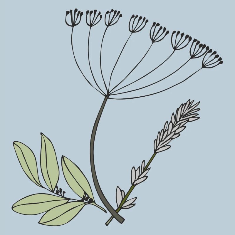 herbs