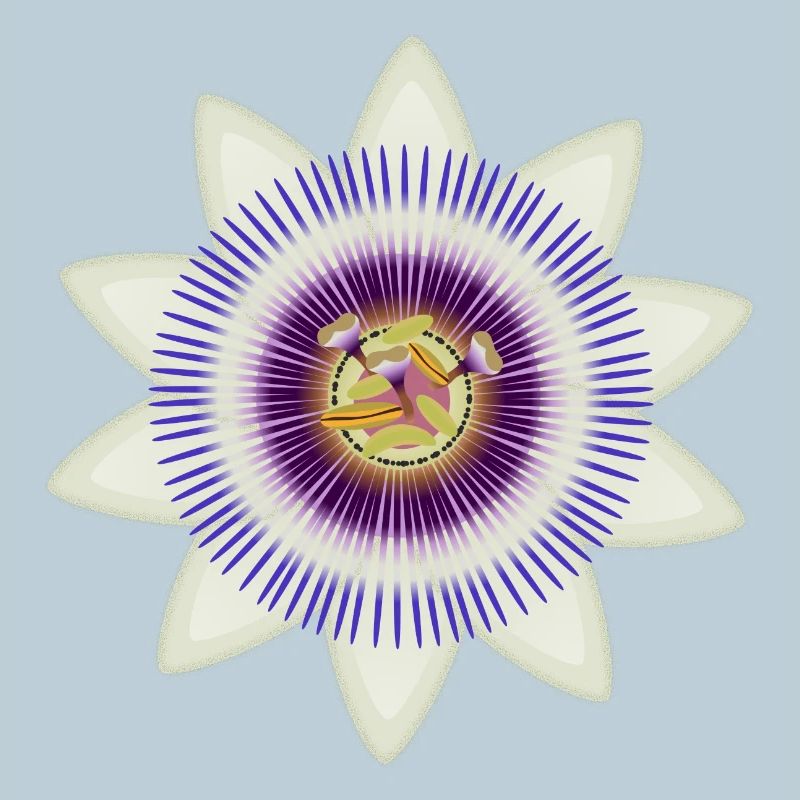 Kunstvolle Blüte einer Passionsblume