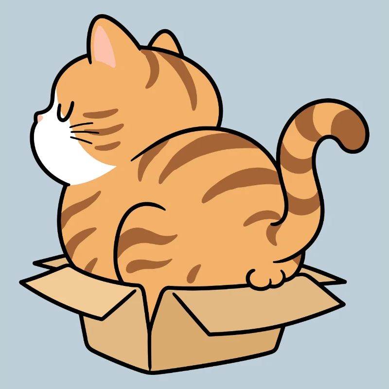 Chaton dans une boîte