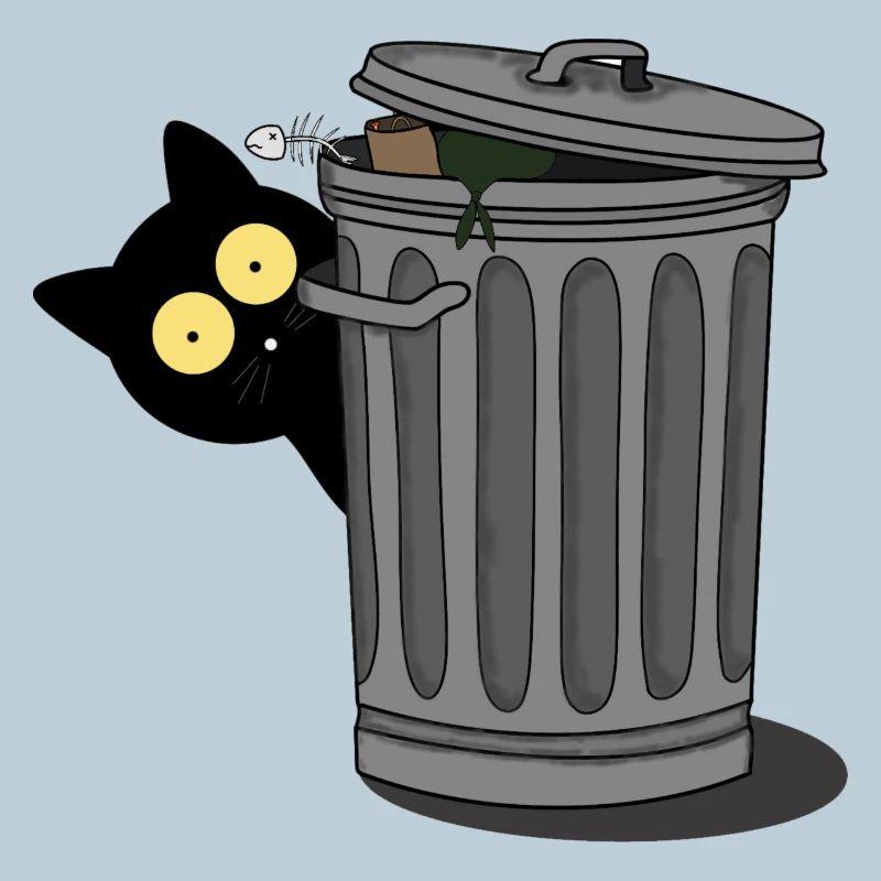 Black cat observed