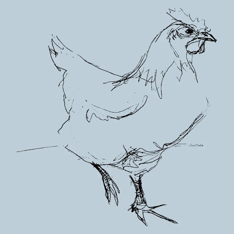 Huhn