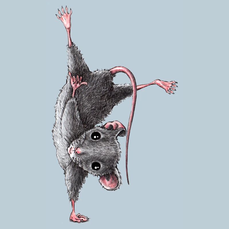 Maus