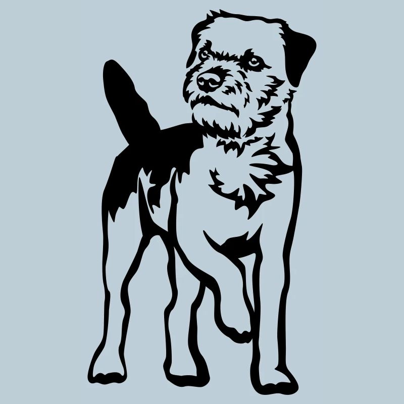 Border Terrier
