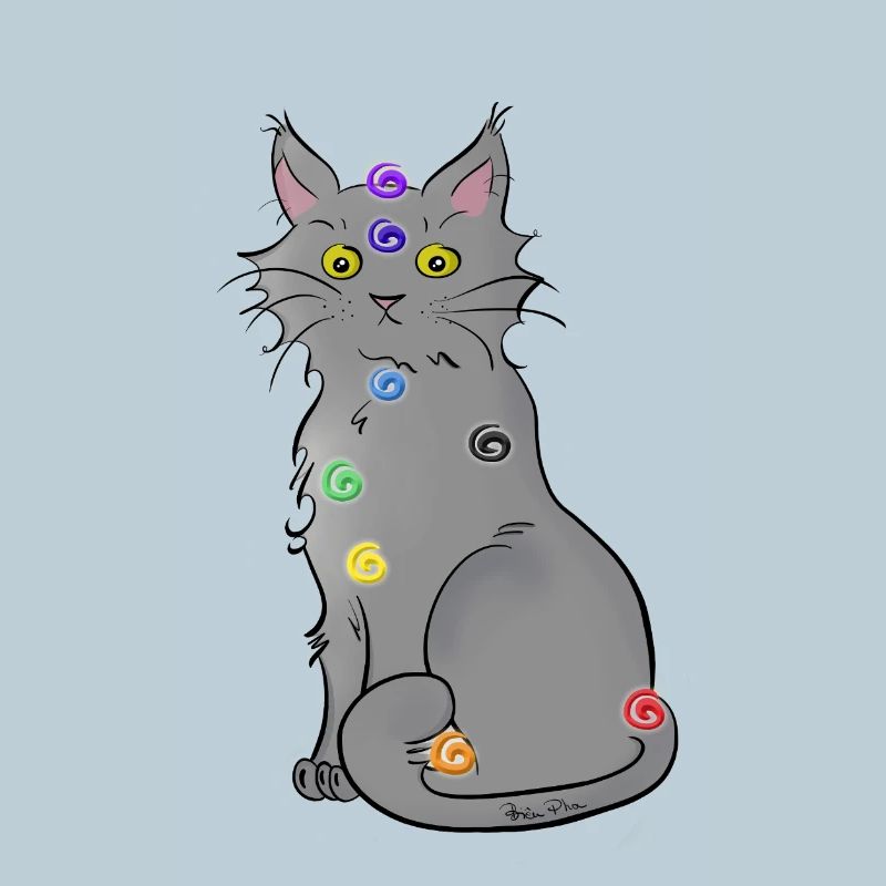 Chat-kra