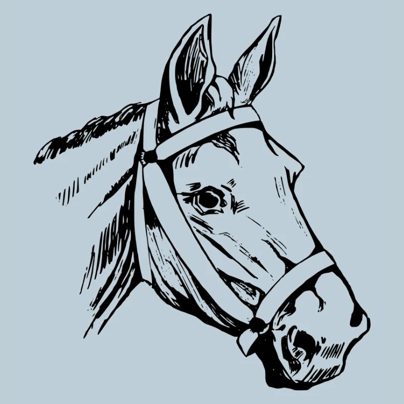 Tête d’animal