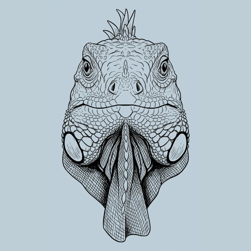 iguana