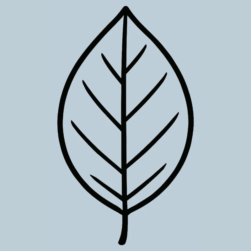 Conception minimaliste Leaf
