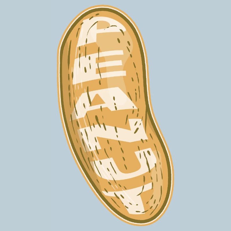 Peanut