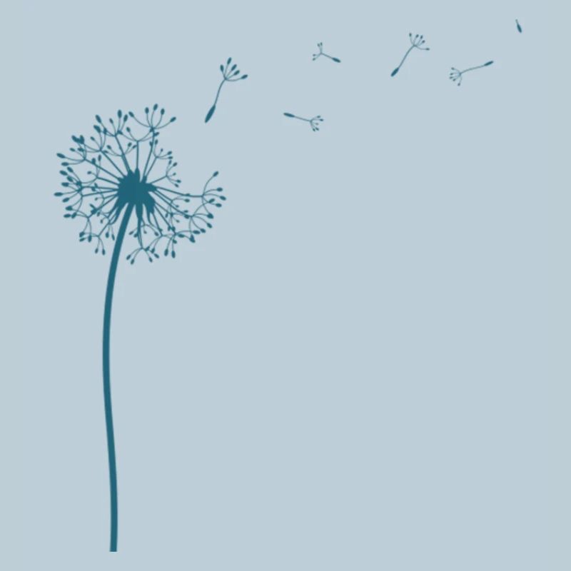 Federleichter Löwenzahn mit Pusteblumen