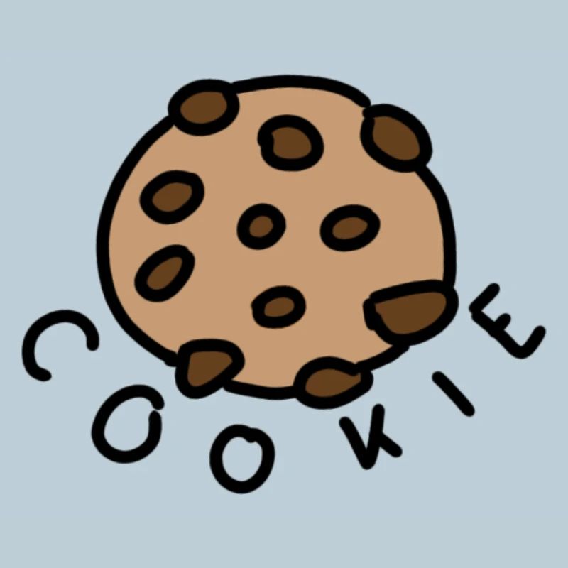 Biscuit aux pépites de chocolat