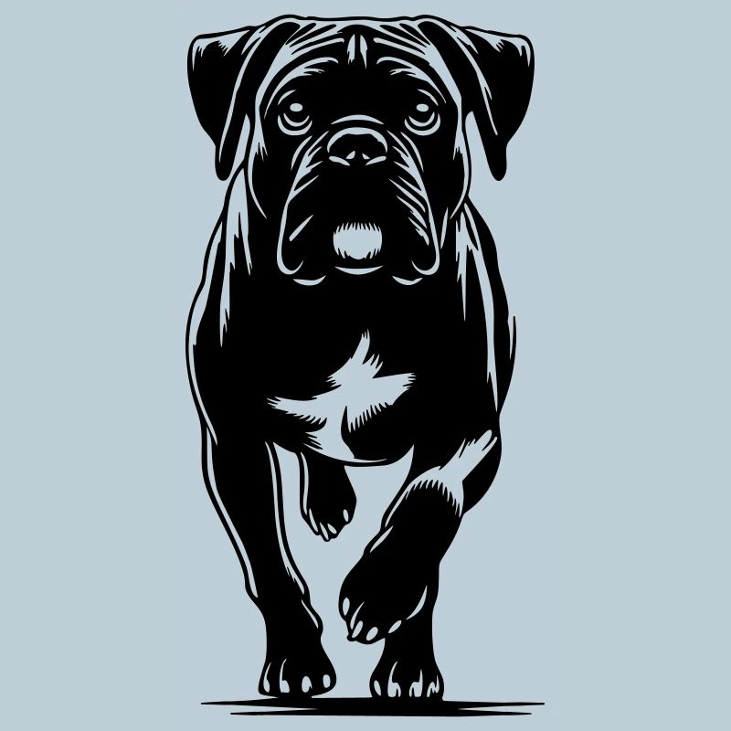 Boxeur