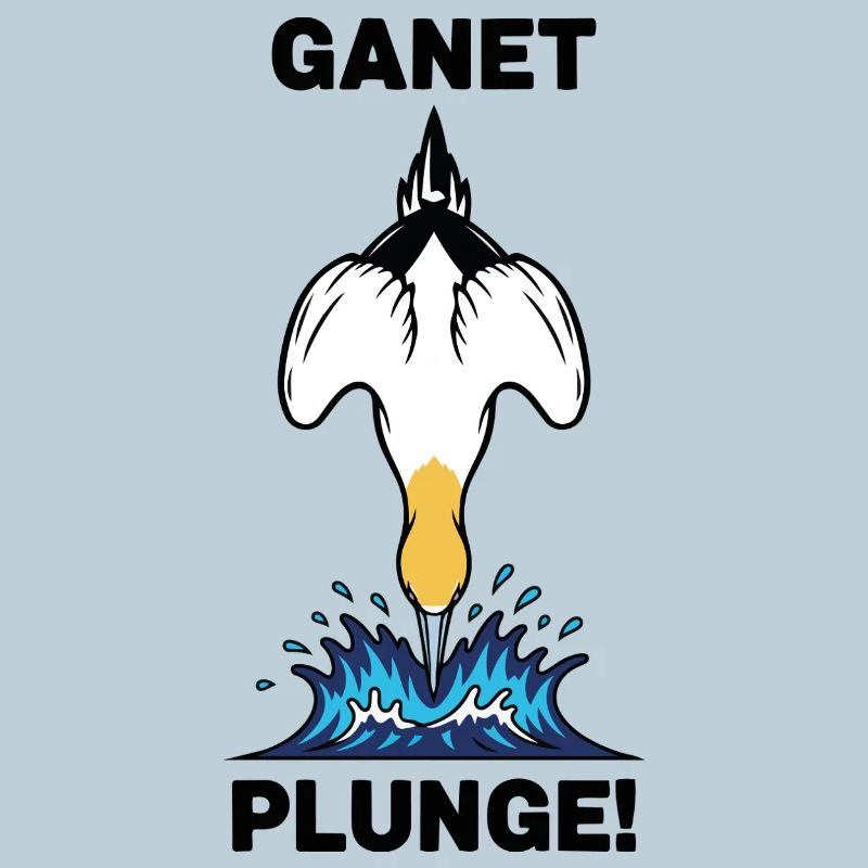 Gannet Loon Sea Plunge Gannet