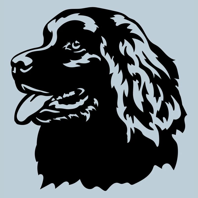 Newfoundland Head