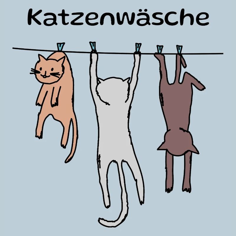 Cat wash