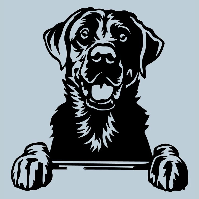 Tête du Labrador