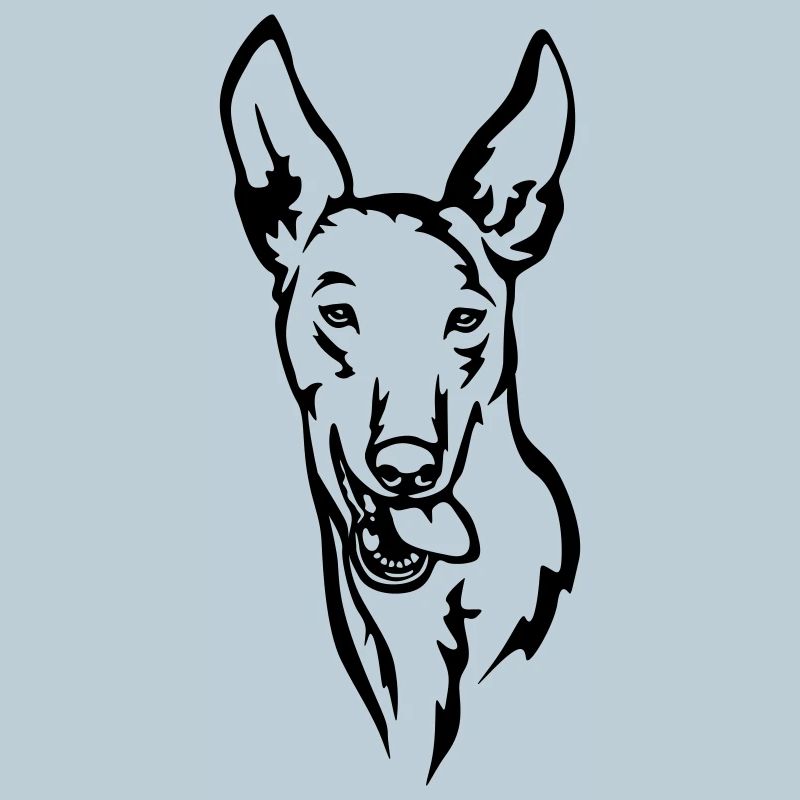 Podenco Head