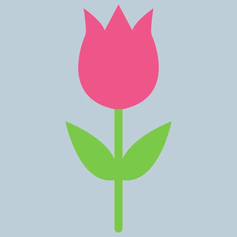 Tulipe