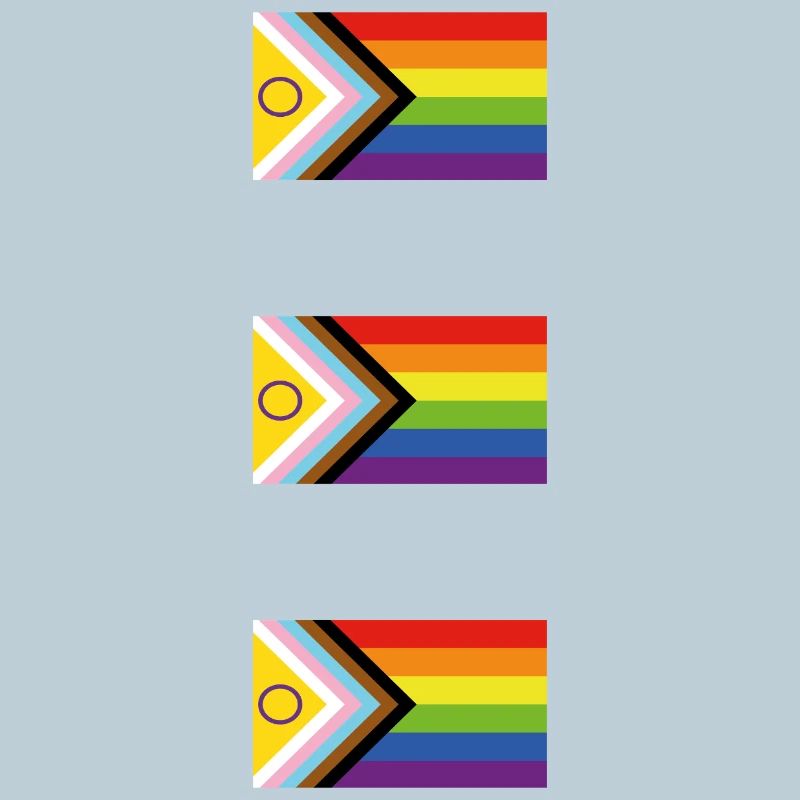 Progrès Inclusive Fierté Drapeau Arc-en-ciel LGBTQ+