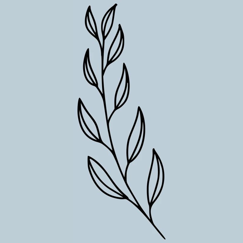 Branch